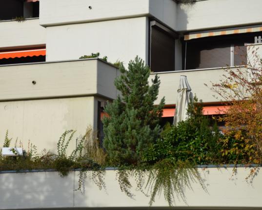 Reserviert: Sonnige Ferienwohnung - Zweitwohnsitz, AUT