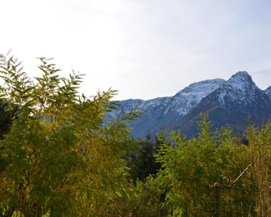 Reserviert: Sonnige Ferienwohnung - Zweitwohnsitz, AUT