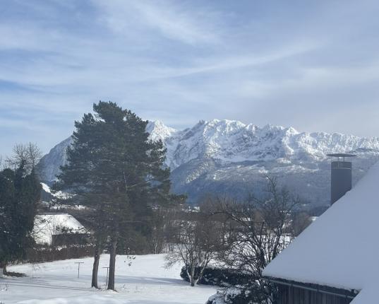 Rarität: altes Bauernhaus mit vorgelagertem Baugrundstück und Holzbezugsrecht, AUT