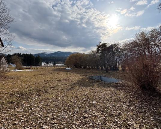Rarität: altes Bauernhaus mit vorgelagertem Baugrundstück und Holzbezugsrecht, AUT