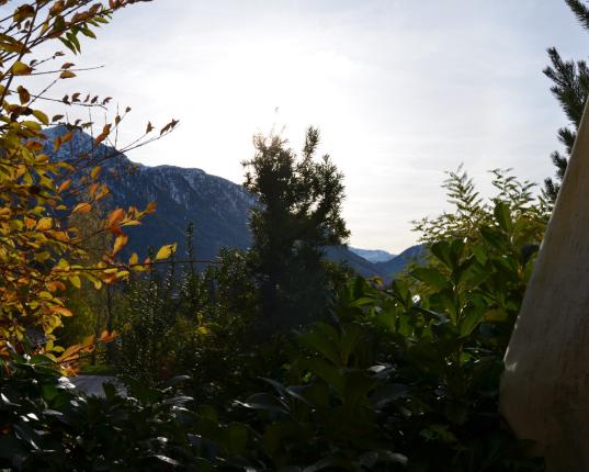 Reserviert: Sonnige Ferienwohnung - Zweitwohnsitz, AUT